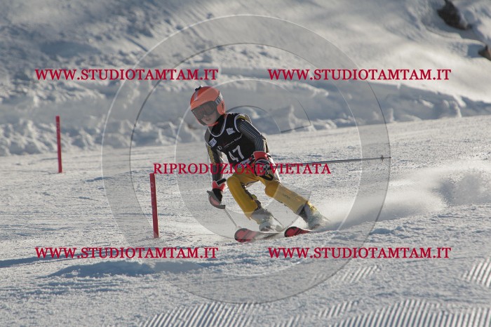 MAT_3690.JPG