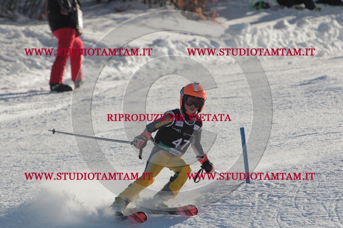 MAT_3692.JPG