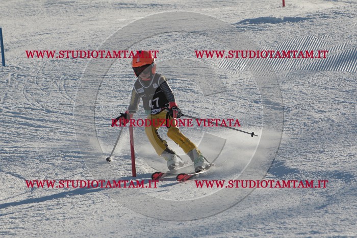 MAT_3693.JPG