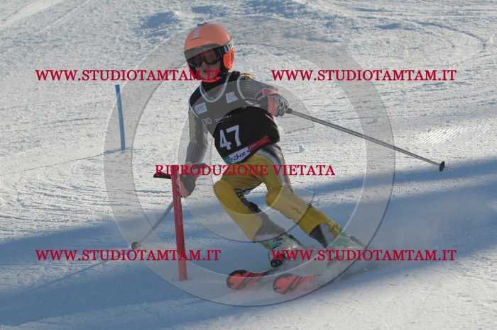 MAT_3697.JPG