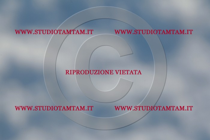 MAT_3699.JPG