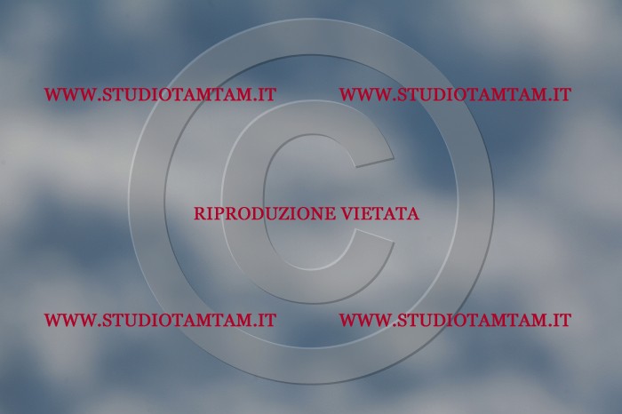 MAT_3701.JPG