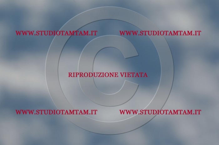 MAT_3702.JPG