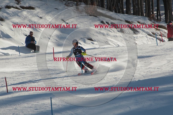 MAT_3703.JPG