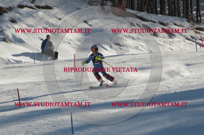 MAT_3704.JPG