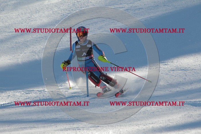 MAT_3708.JPG