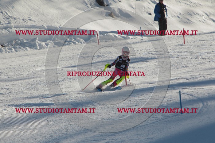 MAT_3729.JPG