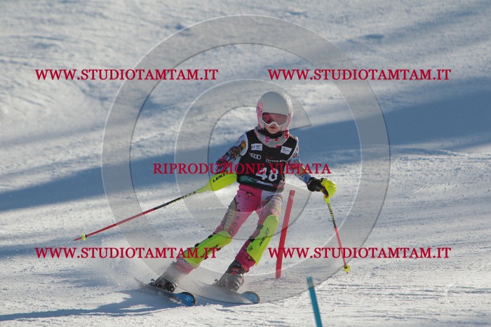 MAT_3735.JPG