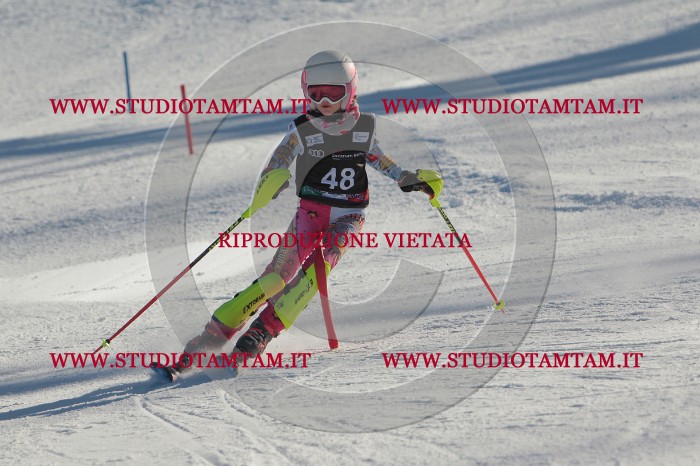 MAT_3738.JPG