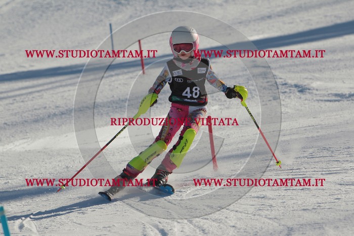 MAT_3739.JPG