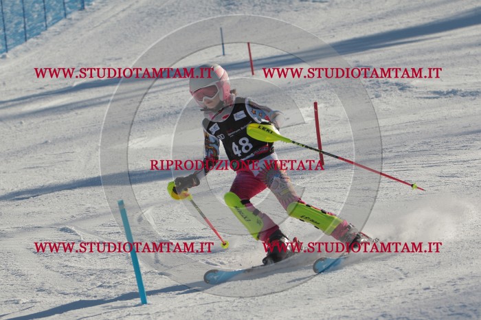 MAT_3740.JPG