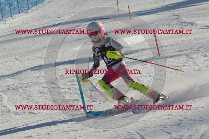 MAT_3741.JPG