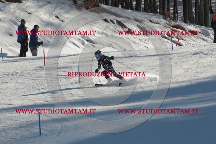 MAT_3756.JPG