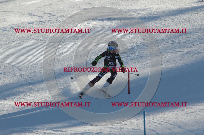 MAT_3759.JPG