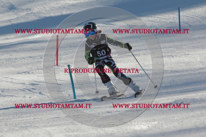 MAT_3763.JPG