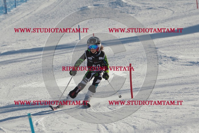 MAT_3766.JPG