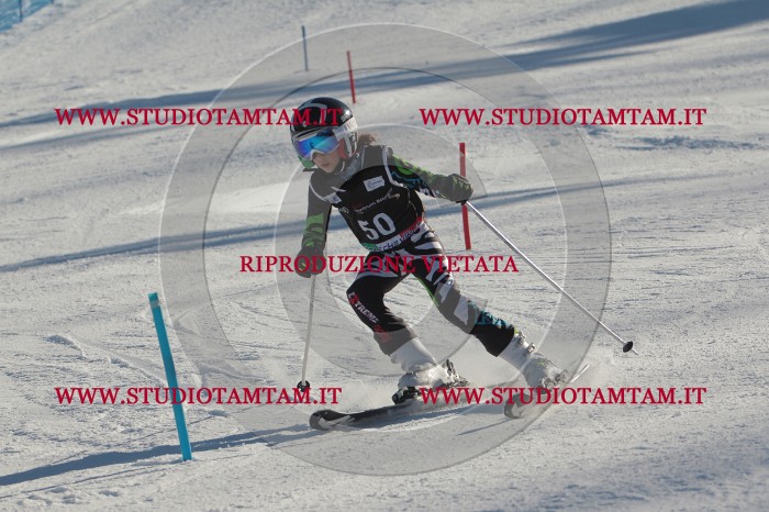 MAT_3767.JPG