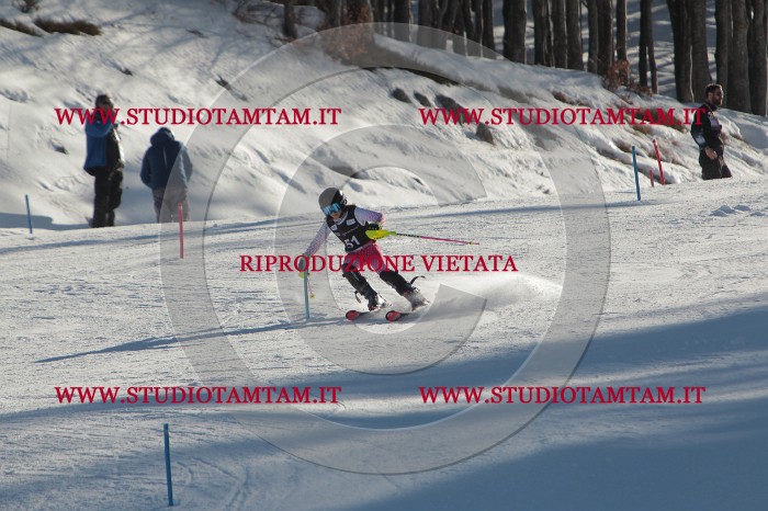MAT_3769.JPG