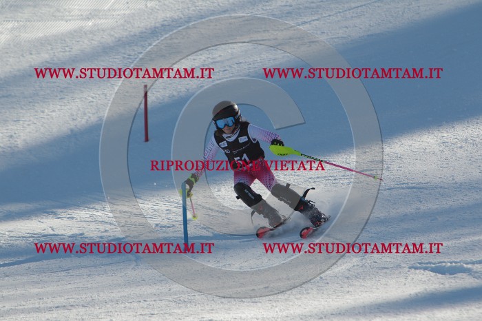 MAT_3773.JPG