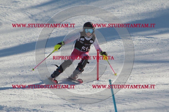 MAT_3774.JPG