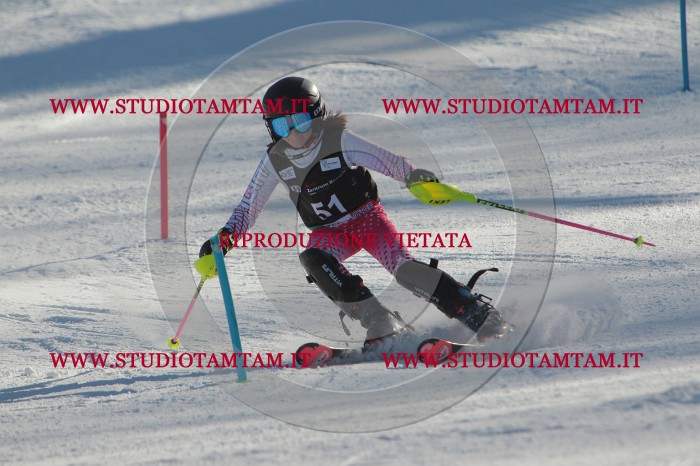 MAT_3775.JPG