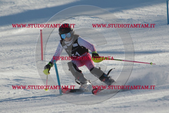 MAT_3776.JPG
