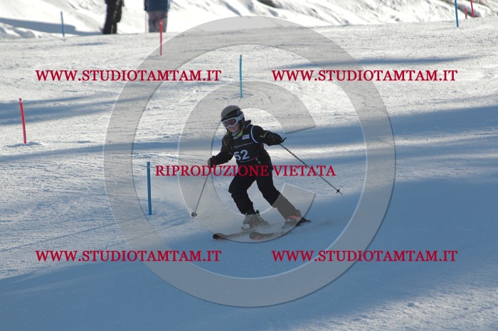 MAT_3781.JPG