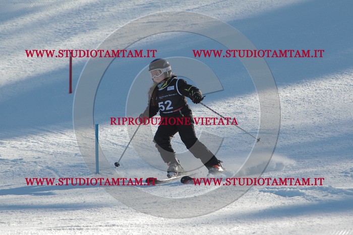 MAT_3783.JPG