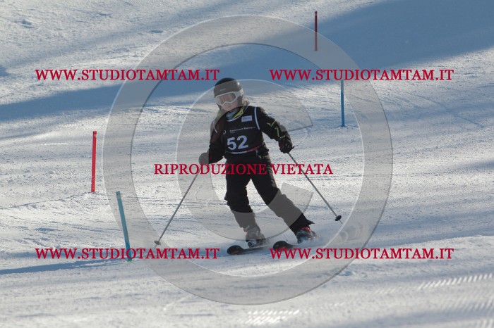 MAT_3785.JPG