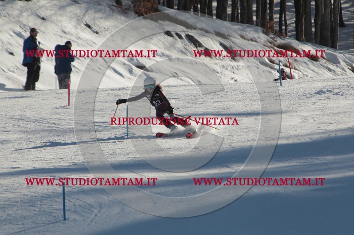 MAT_3788.JPG