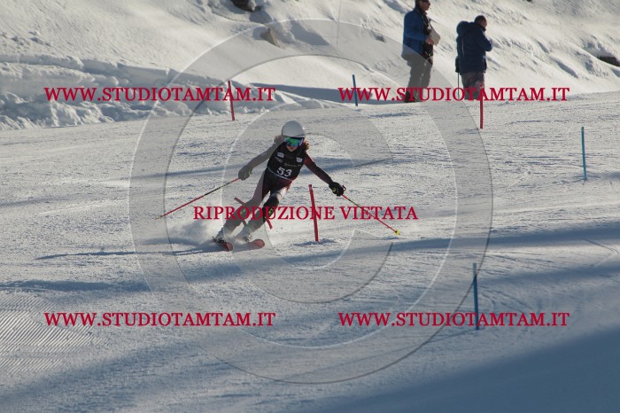 MAT_3789.JPG