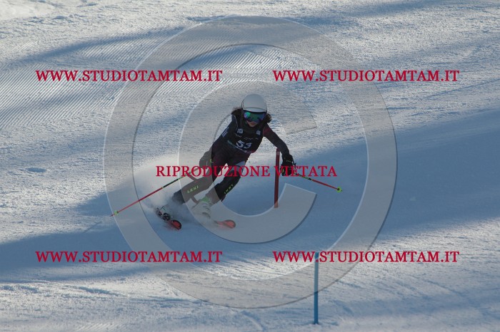 MAT_3791.JPG