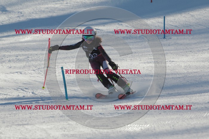 MAT_3795.JPG