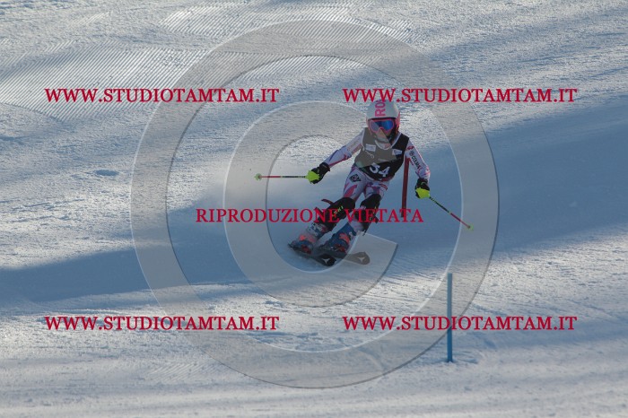 MAT_3800.JPG