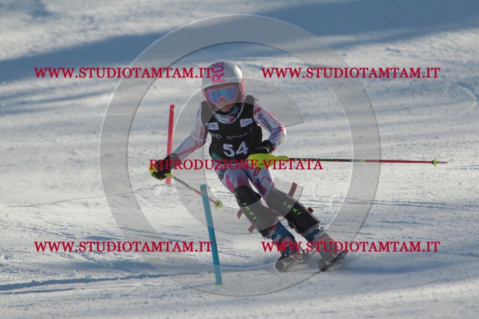 MAT_3805.JPG