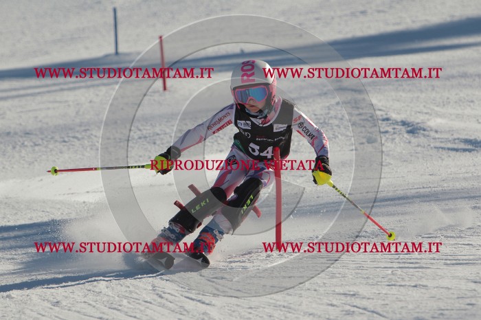 MAT_3808.JPG