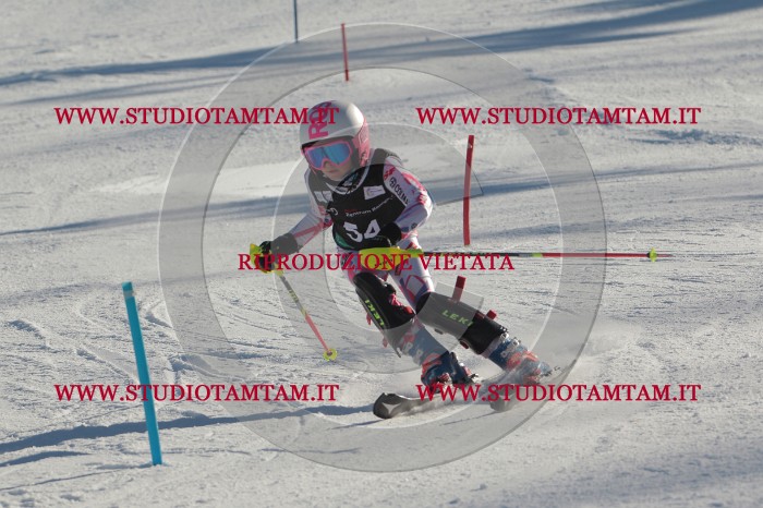 MAT_3809.JPG