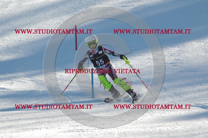 MAT_3815.JPG