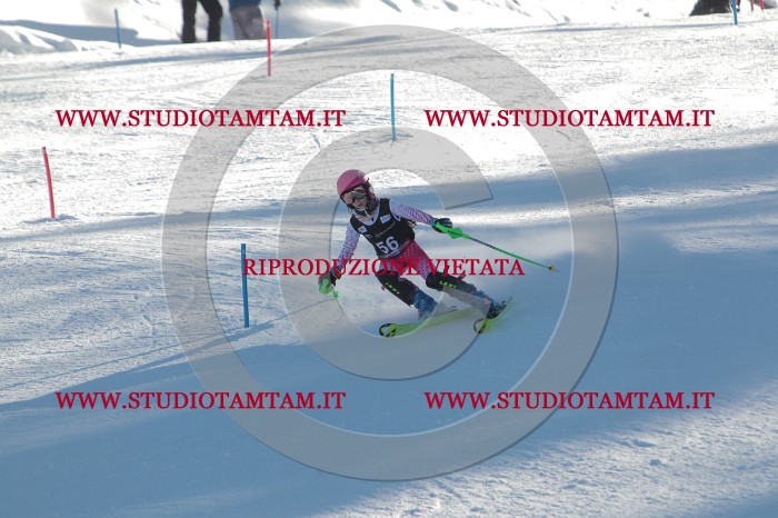 MAT_3829.JPG