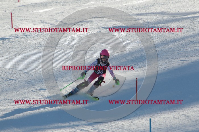 MAT_3830.JPG
