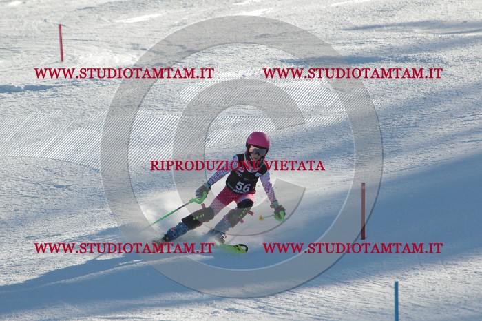 MAT_3831.JPG