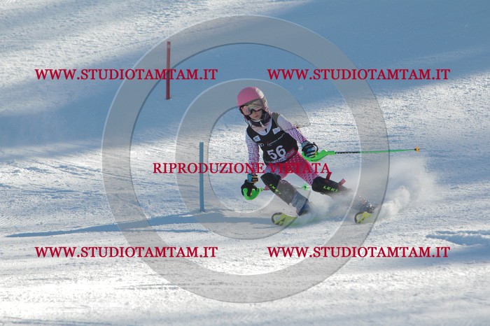 MAT_3833.JPG