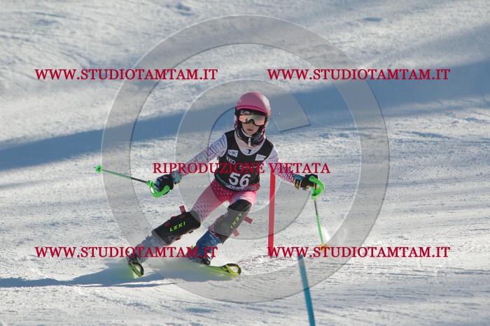 MAT_3835.JPG