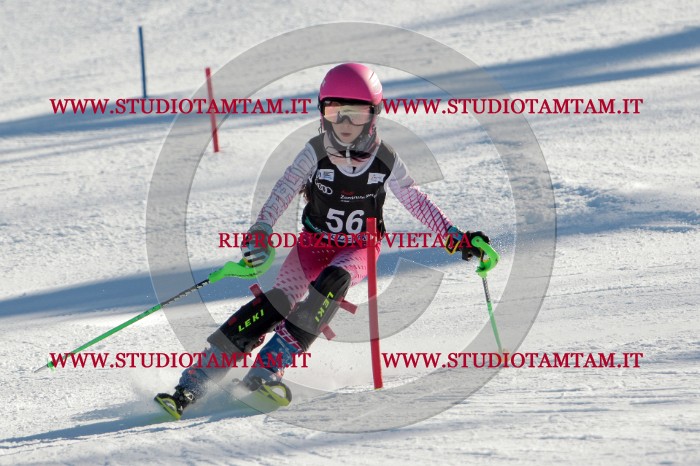 MAT_3838.jpg