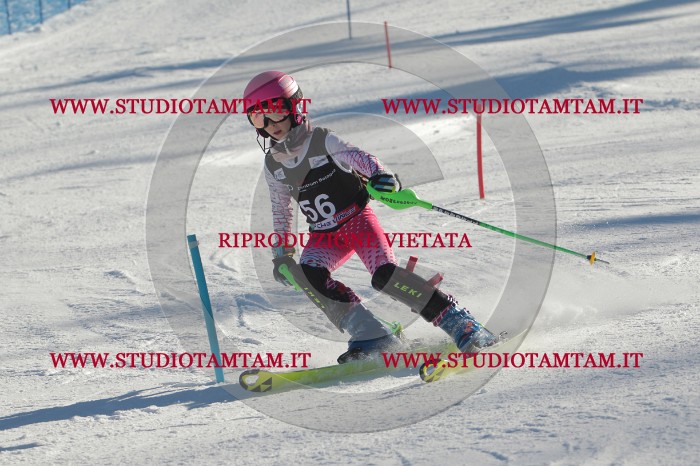MAT_3841.JPG