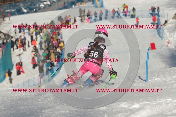 MAT_3842.JPG