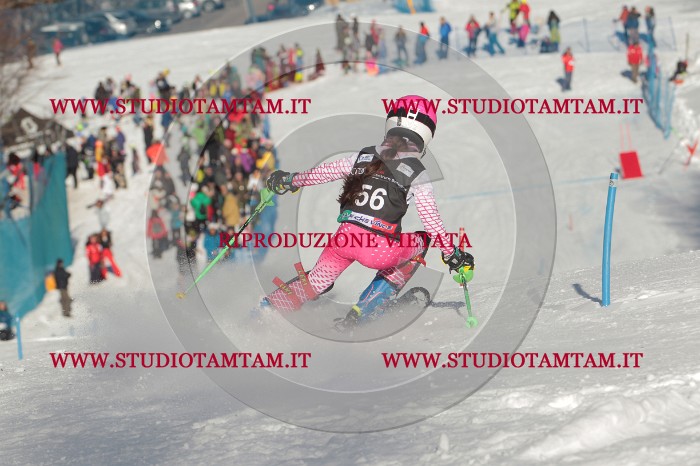 MAT_3843.JPG