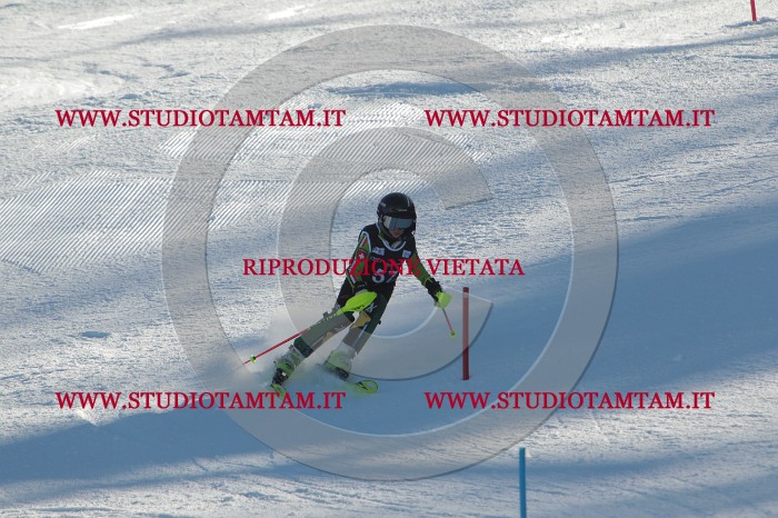 MAT_3847.JPG