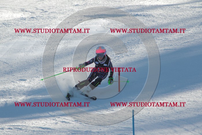 MAT_3862.JPG