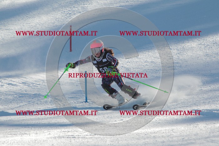 MAT_3864.JPG